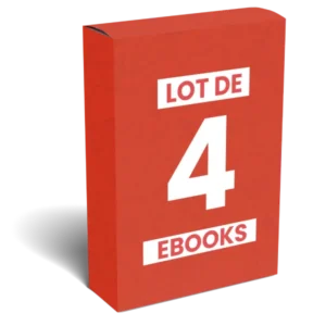 Lot de 4 ebooks